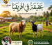 أضاحي وعقيقة في أفريقيا – ذبح شرعي وتوثيق بالفيديو