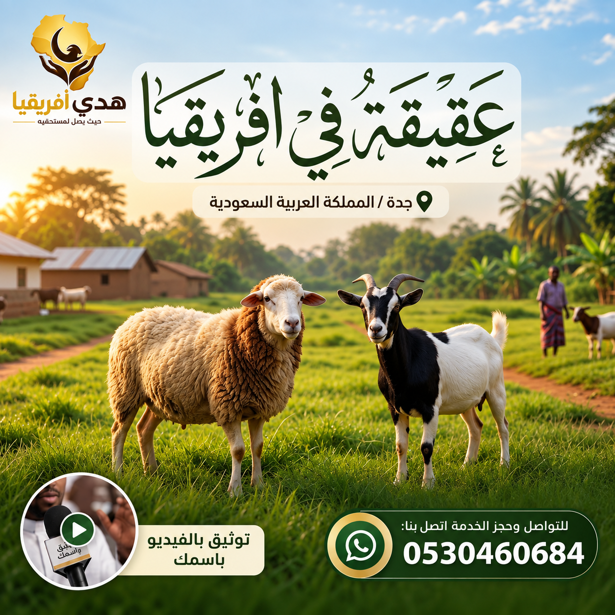 أضاحي وعقيقة في أفريقيا – ذبح شرعي وتوثيق بالفيديو